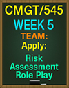 CMGT/545 Week 5 Team Apply: Rick Assessment Role Play